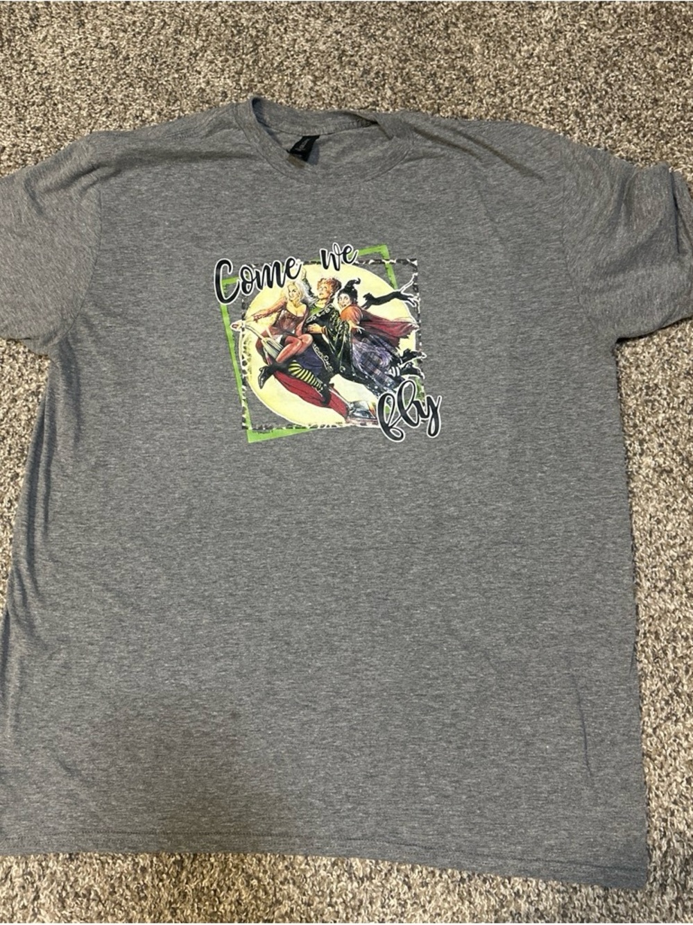 Gildan Gray Short Sleeve Tee with 'Come We Fly' Graphic